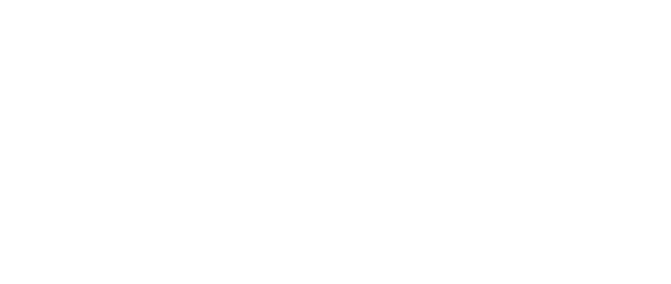 Fashion Pro